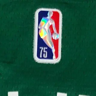 Boston Celtics Basketball Undershirt for Adults